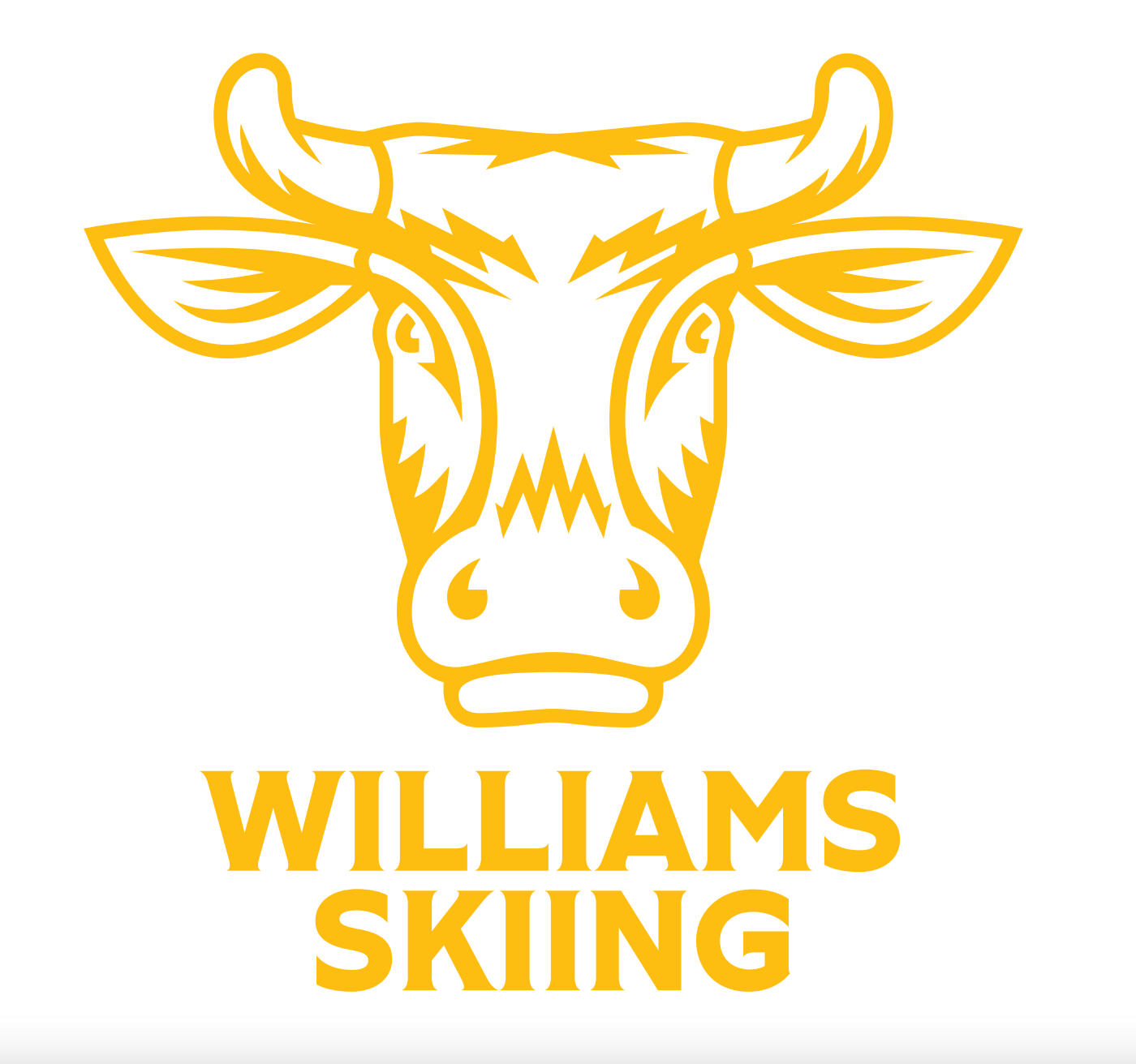 Williams Purple Cow Print Bra